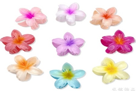 云南继骆网络科技有限公司形象图